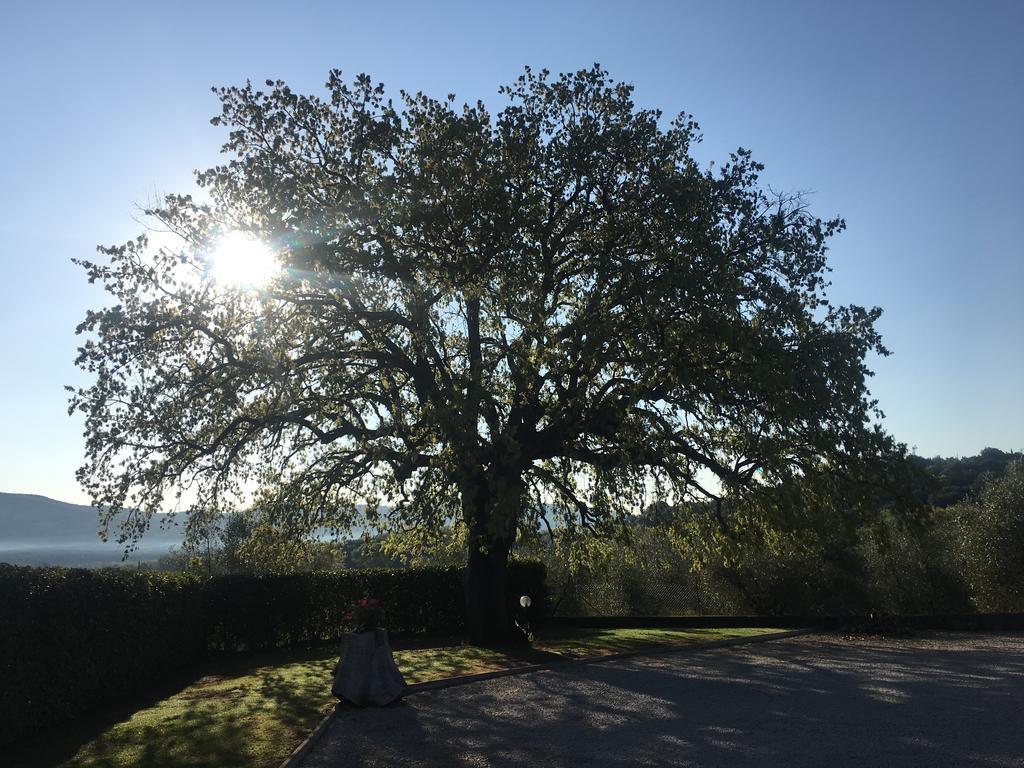Agriturismo Pian Del Vescovo Massa Marittima Eksteriør bilde